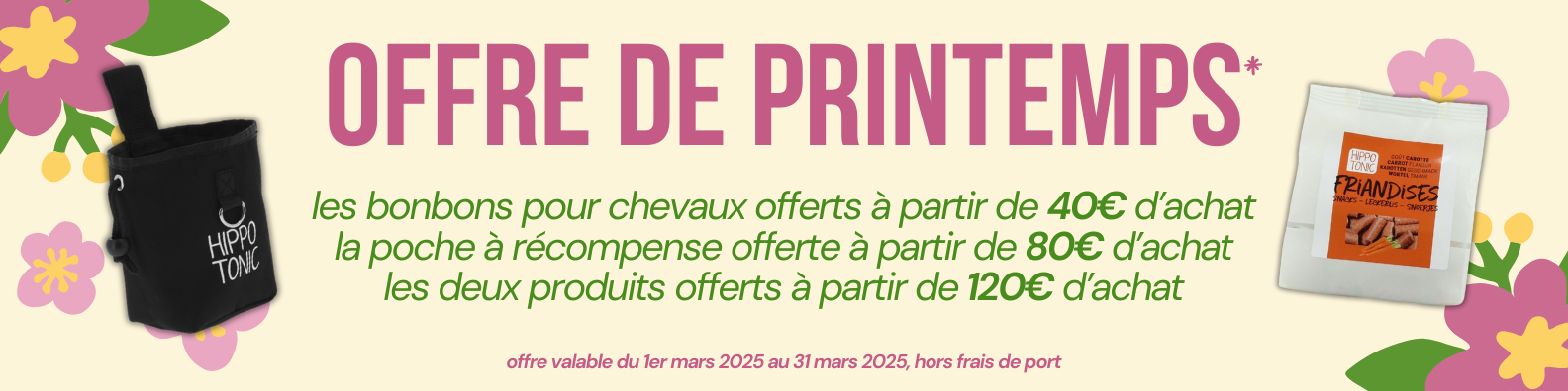 Bannière Printemps offre promotionnel